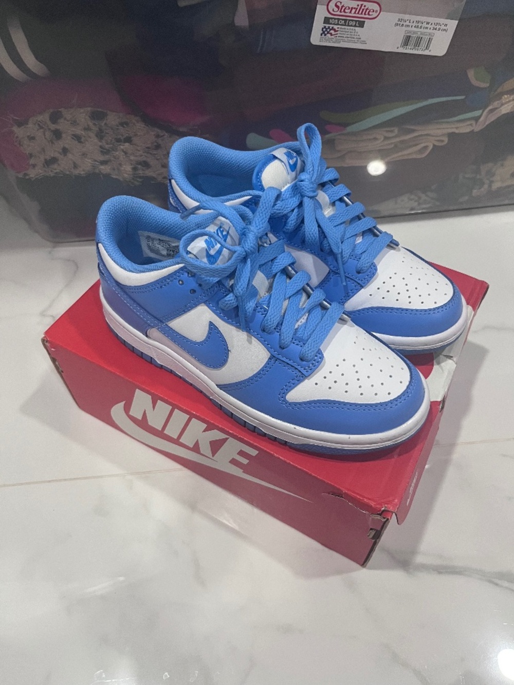 University Blue Dunks Low GS 4y